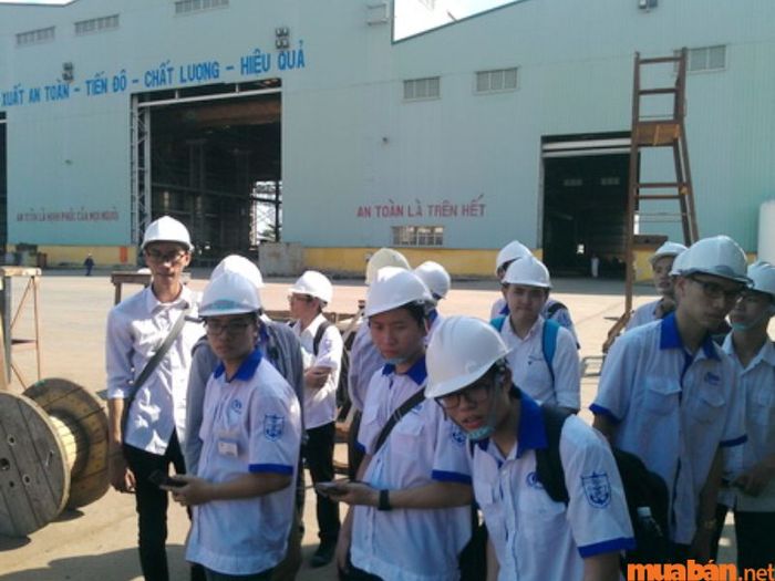Ngành kinh tế vận tải biển yêu cầu những phẩm chất nào?