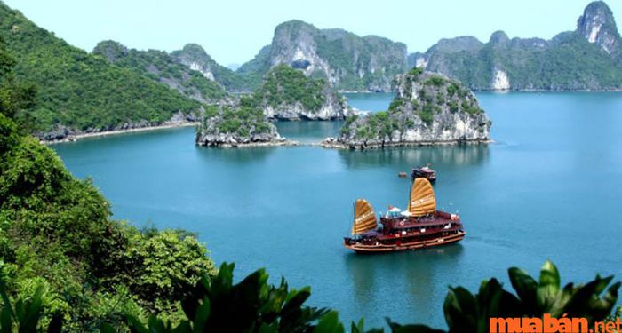 Vịnh Hạ Long không chỉ nổi bật bởi vẻ đẹp kỳ diệu của những hòn đảo đá vôi, mà còn được biết đến là một trong những bãi biển đẹp nhất Việt Nam