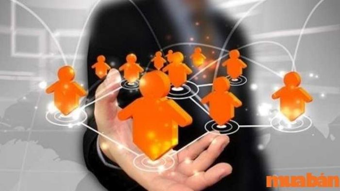 Quản lý và tổ chức các hoạt động trong tổ chức