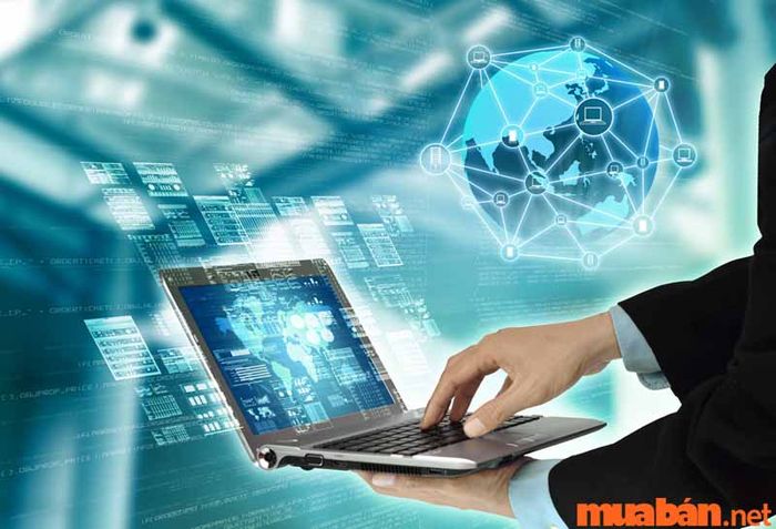 Trường đào tạo đạt chuẩn quốc tế