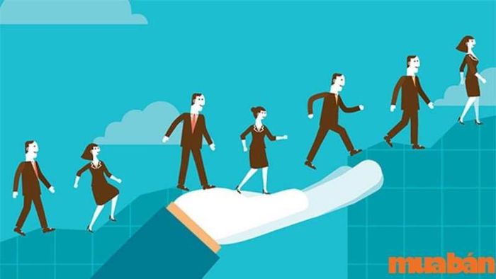 Quy trình làm việc của quản trị điều hành là gì?