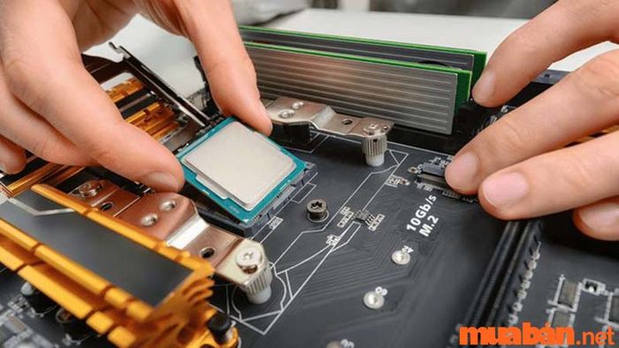 Đại học FPT mang đến rất nhiều cơ hội việc làm cho sinh viên