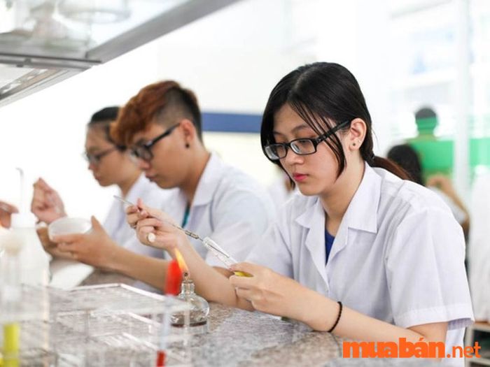 Y sĩ là gì? – Có rất nhiều khối thi khác nhau cho bạn chọn khi muốn theo học ngành y sĩ.