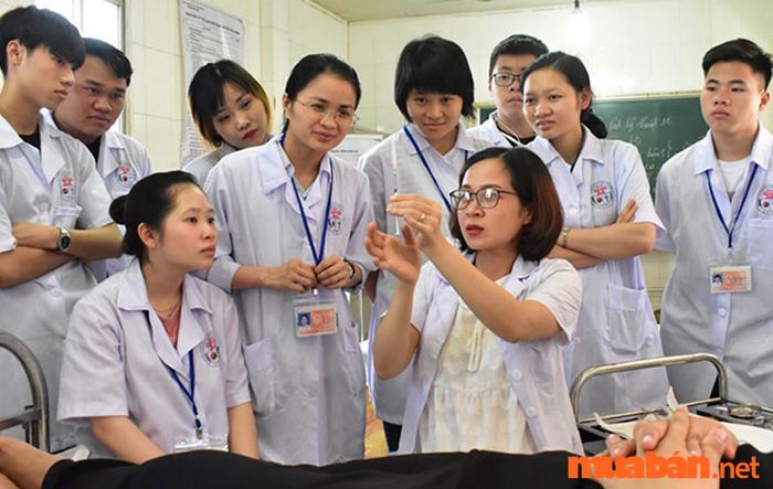 Có rất nhiều trường đào tạo ngành y sĩ uy tín tại cả Hà Nội và TP.HCM.
