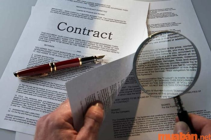 Procurement Manager đối mặt với việc xử lý dữ liệu sai lệch
