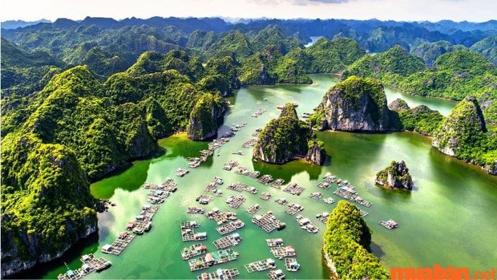 Vịnh Lan Hạ – Điểm đến hoang sơ và thanh bình