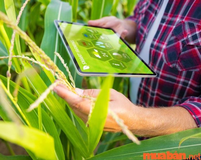 Khối thi và điểm chuẩn cho ngành kinh doanh nông nghiệp
