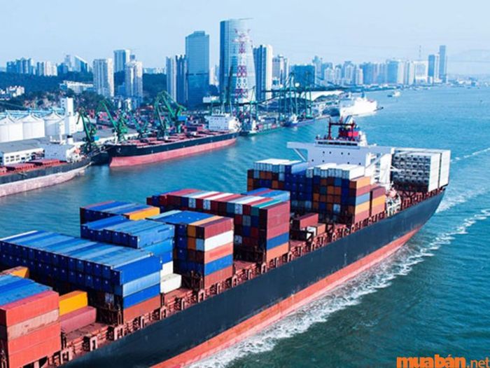 Tổng quan về ngành kinh tế vận tải biển