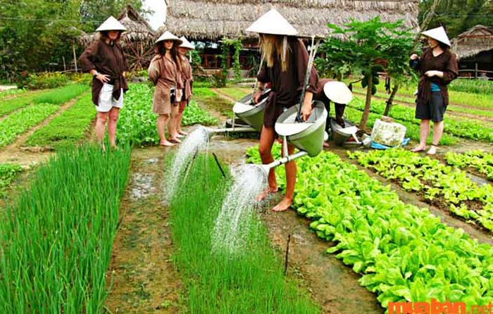 những bãi biển đẹp nhất tại Việt Nam