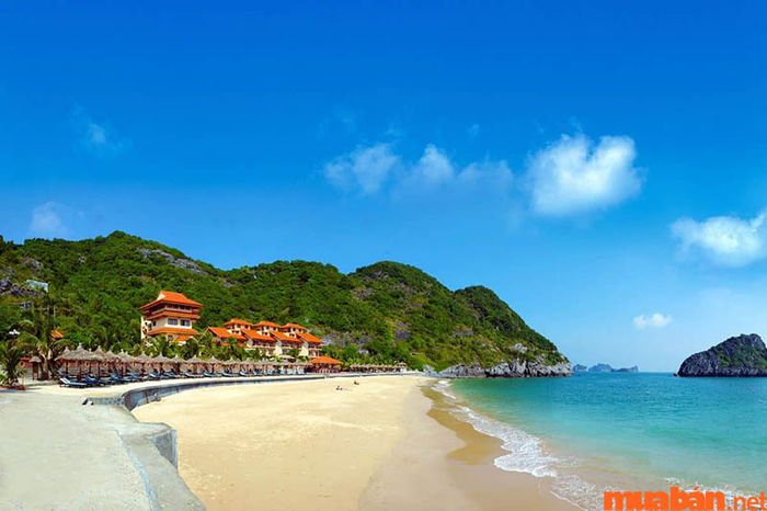 Biển Đồ Sơn từ lâu đã được biết đến là một trong những bãi biển đẹp nhất Việt Nam, thu hút du khách với vẻ đẹp thiên nhiên và không khí trong lành.