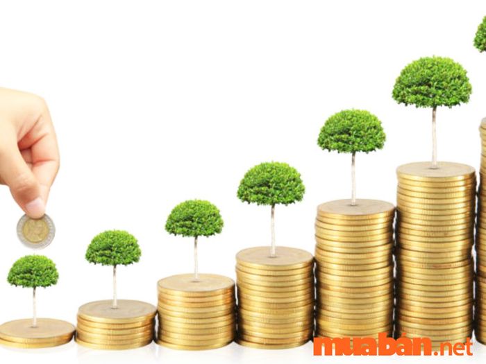 Y sĩ mới ra trường nên chấp nhận mức lương khởi điểm thấp để tích lũy kinh nghiệm quý giá cho bản thân.