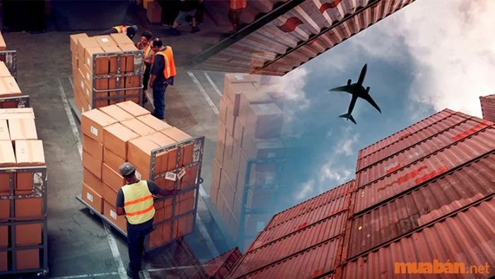 Lộ trình thăng tiến trong ngành Logistics