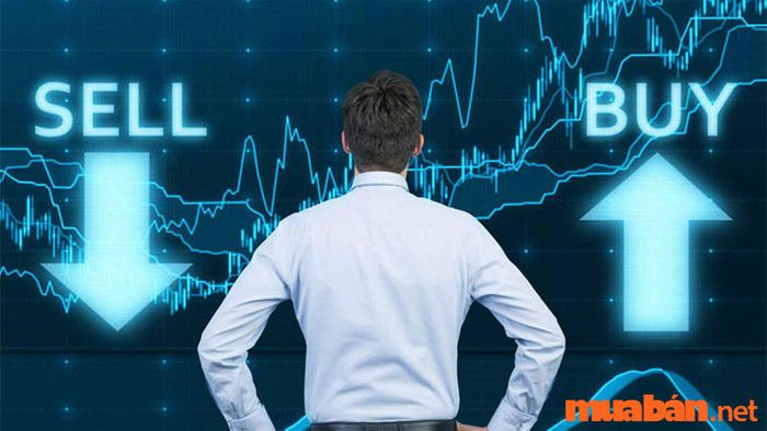 Đầu tư tài chính là việc sử dụng vốn để mua các tài sản có khả năng sinh lời trong tương lai.