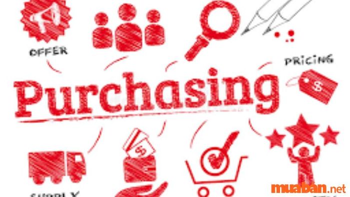 Procurement Manager là gì?