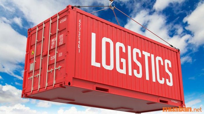 Học Logistics sẽ có những công việc gì?