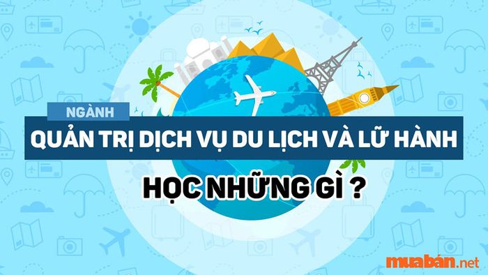 Ngành quản trị dịch vụ du lịch và lữ hành học những gì?