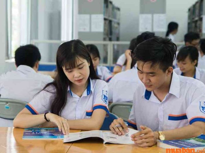 Những phẩm chất cần có để học ngành kinh tế vận tải biển