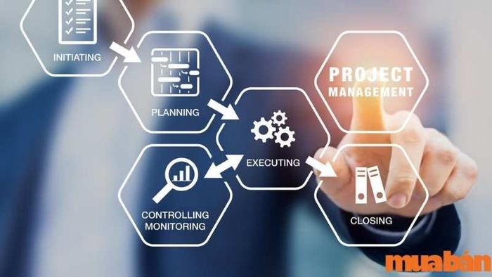 Hiểu rõ quá trình thực hiện dự án