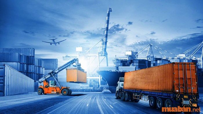 Chương trình đào tạo ngành Logistics gồm những gì?