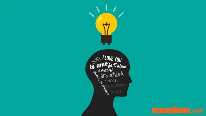 Sinh viên ngành Công tác xã hội sẽ được trang bị đầy đủ kiến thức về tâm lý học, tạo nền tảng vững chắc để hiểu và hỗ trợ tốt hơn các đối tượng cần giúp đỡ.