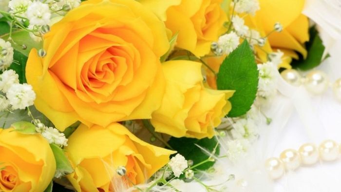 Hình ảnh hoa hồng – Tải ảnh Valentine đẹp nhất để tạo dấu ấn cho tình yêu
