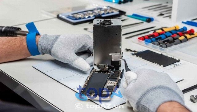 TeamCare Hà Nội