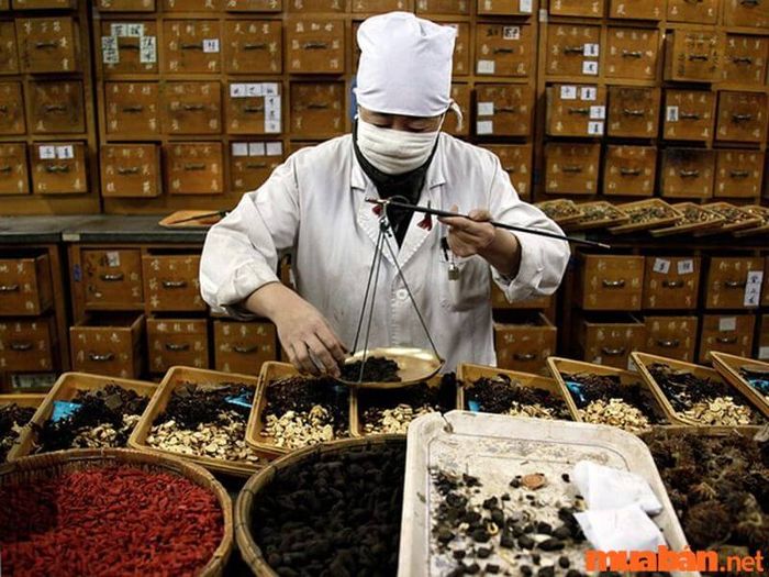 ngành y học cổ truyền