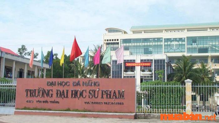 Đại học Sư phạm – Đại học Đà Nẵng