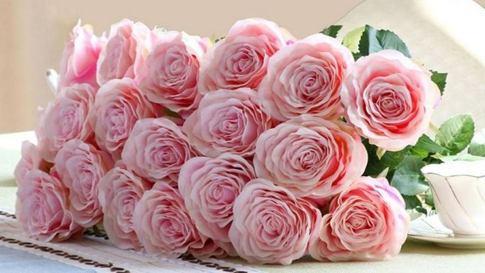Hình ảnh hoa hồng – Tải ảnh Valentine đẹp nhất cho một tình yêu ngọt ngào