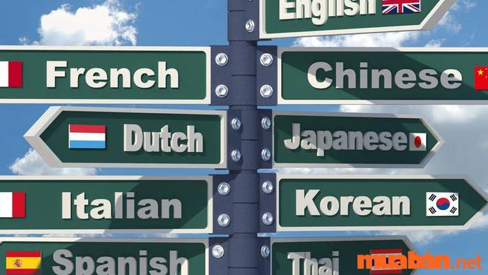 Việc thông thạo ngoại ngữ sẽ là một lợi thế lớn giúp bạn có cơ hội phát triển hơn trong ngành công tác xã hội.