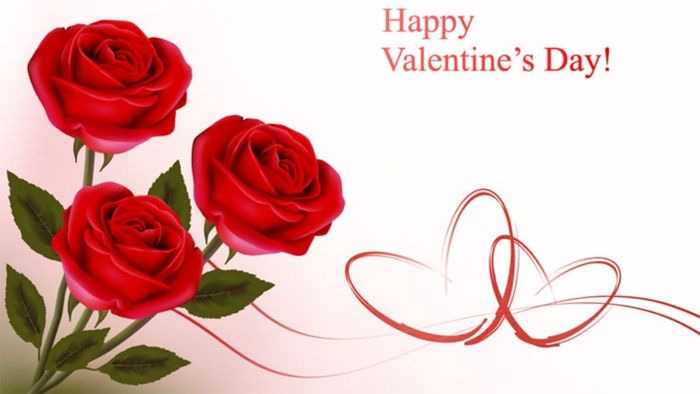 Hình ảnh hoa hồng – Tải ảnh Valentine đẹp nhất để thắp sáng tình yêu