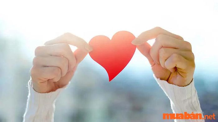 Các phẩm chất quan trọng để thành công trong ngành công tác xã hội