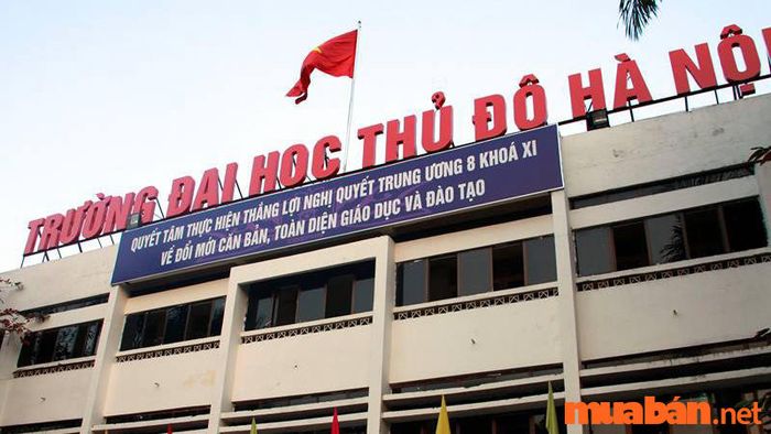 Điểm chuẩn ngành công tác xã hội là một trong những thông tin quan trọng thí sinh cần nắm rõ khi đăng ký vào ngành này.