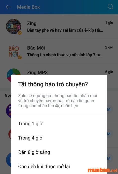 Media Zalo Me là gì?