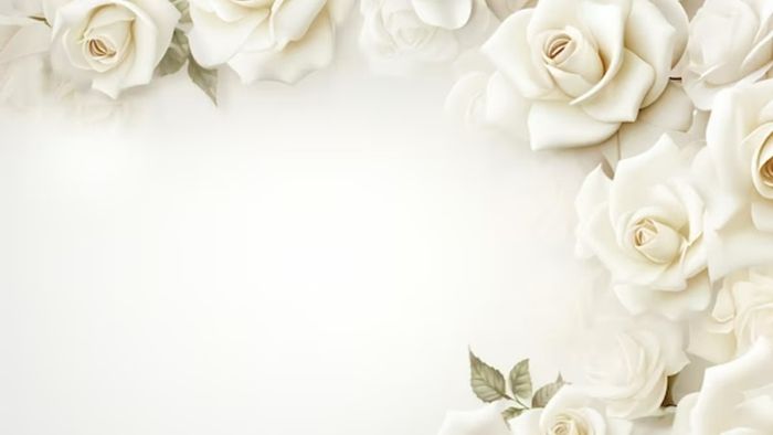 Hình ảnh hoa hồng – Món quà lãng mạn dành tặng người yêu trong dịp Valentine