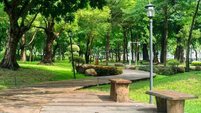 Liệu có thể xây nhà hoặc chuyển đổi đất DVH sang đất thổ cư không?