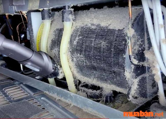 tủ lạnh bị rò rỉ nước