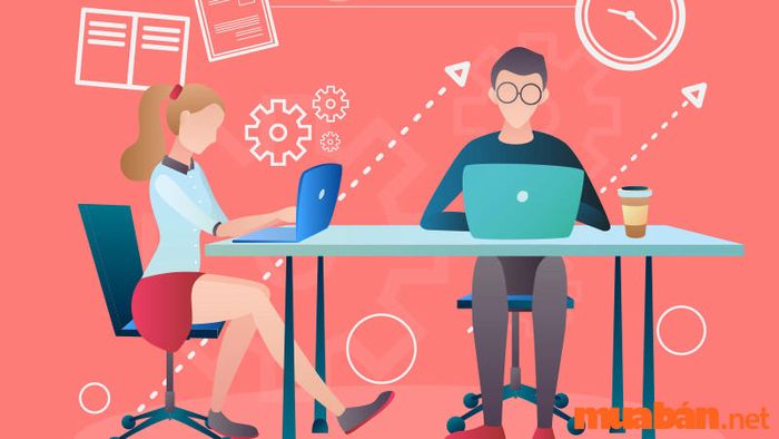 Sinh viên ngành công tác xã hội sẽ được trang bị kiến thức về các vấn đề xã hội, kỹ năng tư vấn và hỗ trợ, cùng các phương pháp giải quyết vấn đề trong cộng đồng và chăm sóc các đối tượng có nhu cầu.