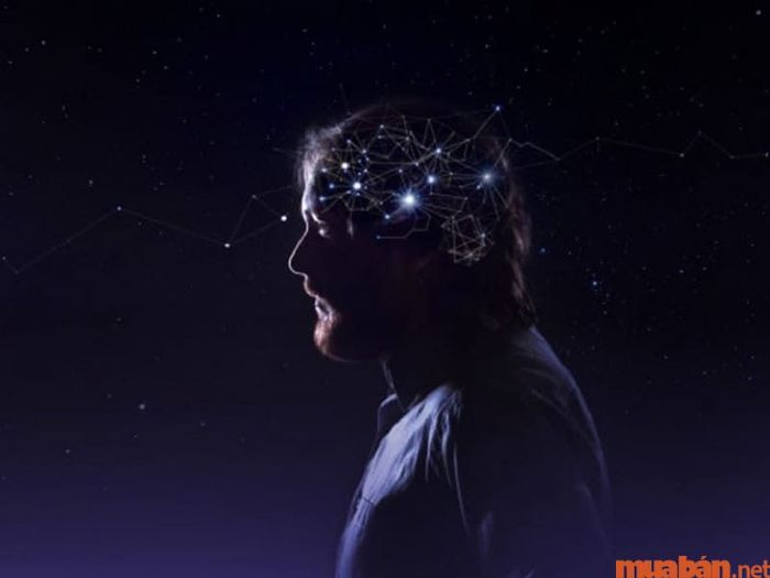 Ngành tâm lý học tội phạm