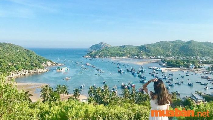 Lịch trình du lịch Vĩnh Hy – Hành trình khám phá vẻ đẹp hoang sơ của biển cả