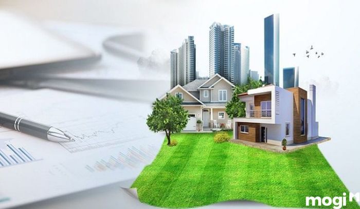 Có nên đầu tư vào đất ngoài đê?