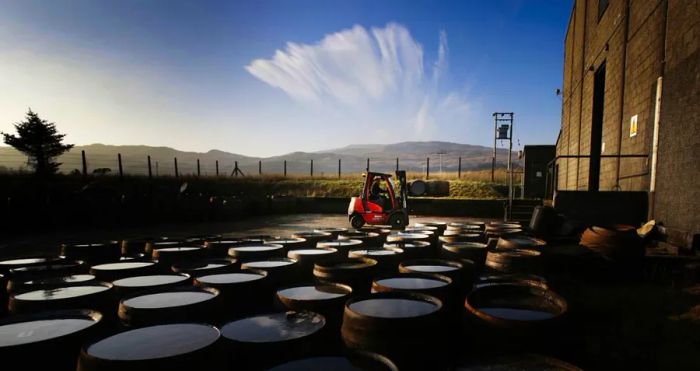 Whisky exports contribute $6.3 billion annually to Scotland’s economy.