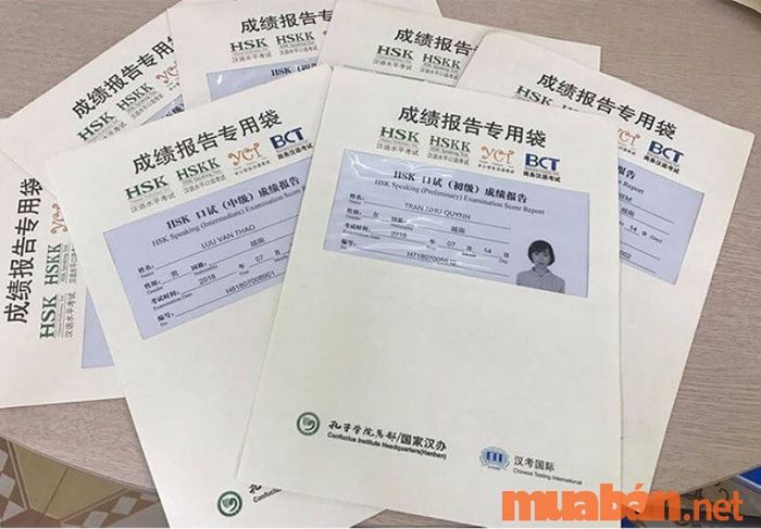 Yêu cầu về trình độ học vấn đối với nghề phiên dịch tiếng Trung