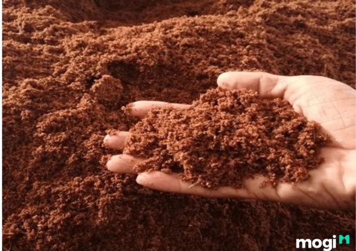 Loại đất canh tác là một trong những yếu tố quan trọng ảnh hưởng đến độ pH của đất.