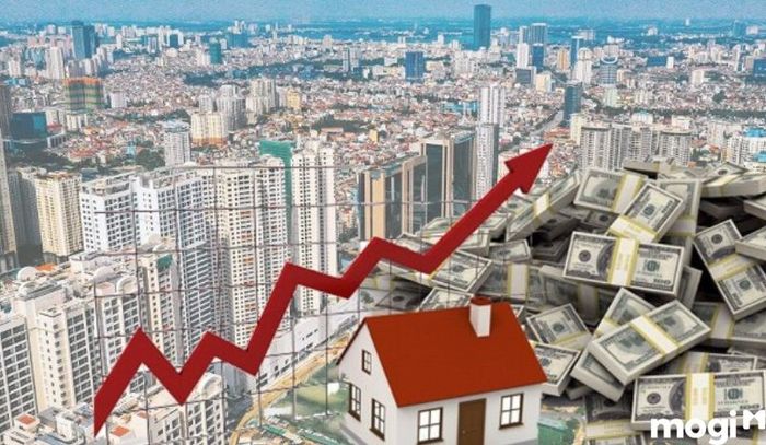 Những câu hỏi quan trọng khi đi mua đất