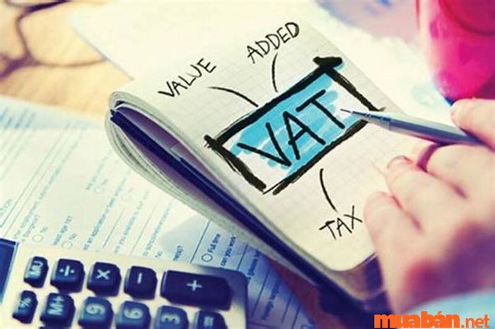 Yêu cầu đối với mô tả công việc của kế toán thuế