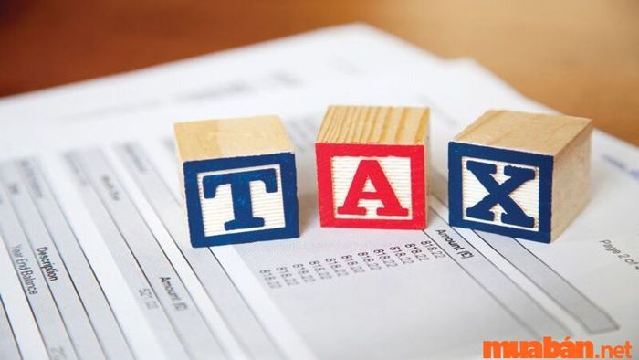 Chi tiết mô tả công việc của kế toán thuế và những yêu cầu bắt buộc