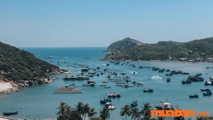Vĩnh Hy có gì thú vị? Bạn đã đến những địa điểm nào ở Vĩnh Hy chưa?
