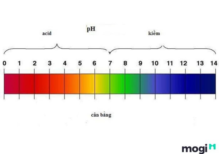 Độ pH của đất là gì và tại sao nó lại quan trọng đối với việc trồng trọt?