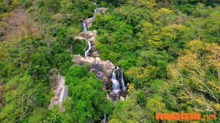 Vườn Quốc gia Núi Chúa tại Vĩnh Hy – điểm đến thiên nhiên tuyệt vời